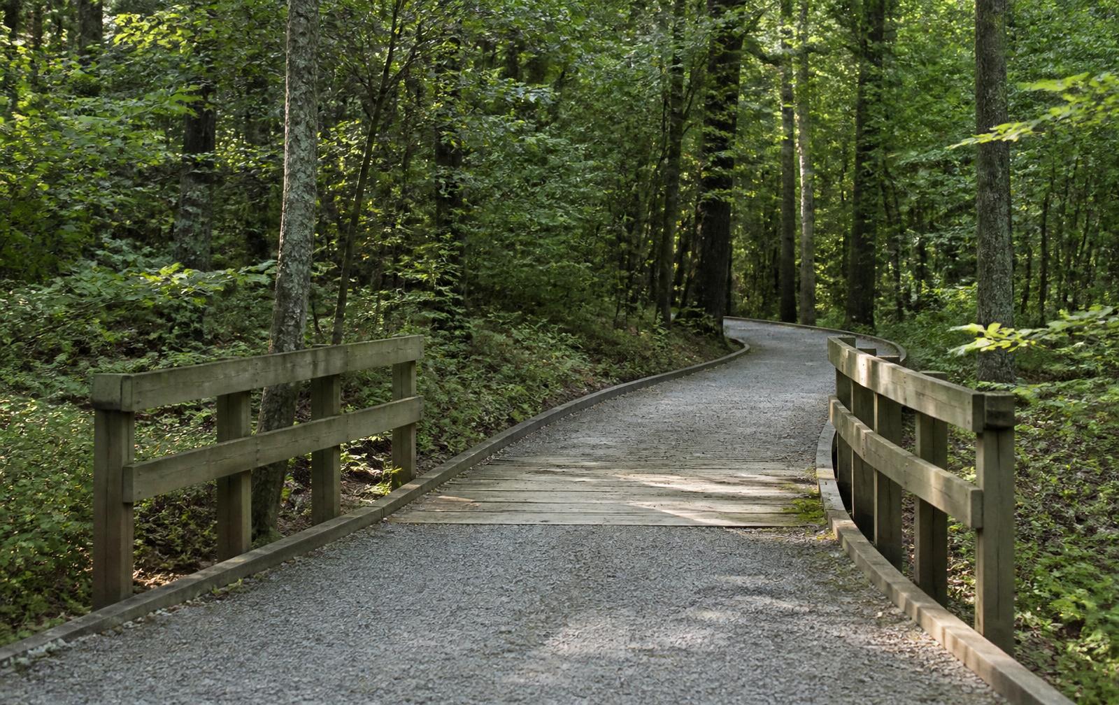 A wide, firm-surface accessible trail with a low boardwalk ramp curving into a wooded preserve.