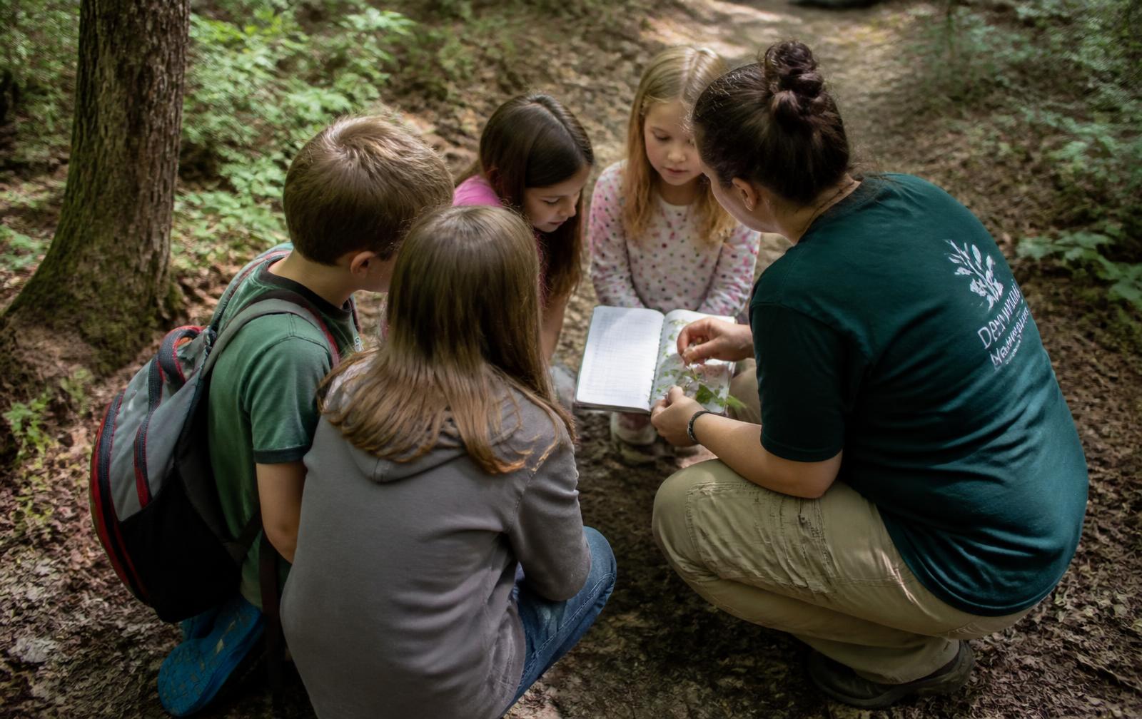 An educator and a small group of children examining leaves and a field notebook on a woodland trail.